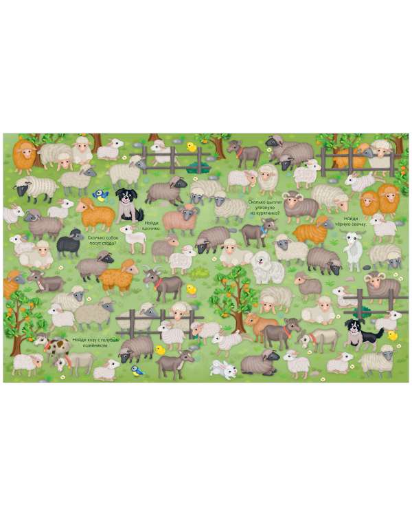 Find and Show. Animals