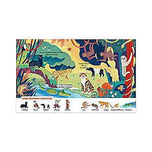 My Favorite Animals. Find and Show