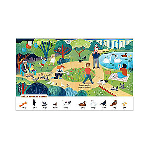My Favorite Animals. Find and Show