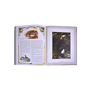The Big Book of Russian Hunting