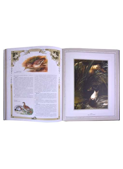 The Big Book of Russian Hunting