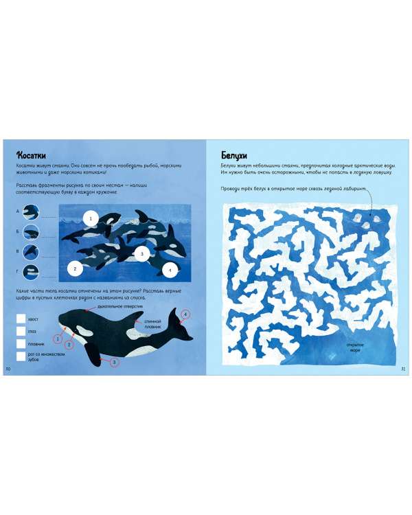 Fun Activities for Boys and Girls. At the Sea
