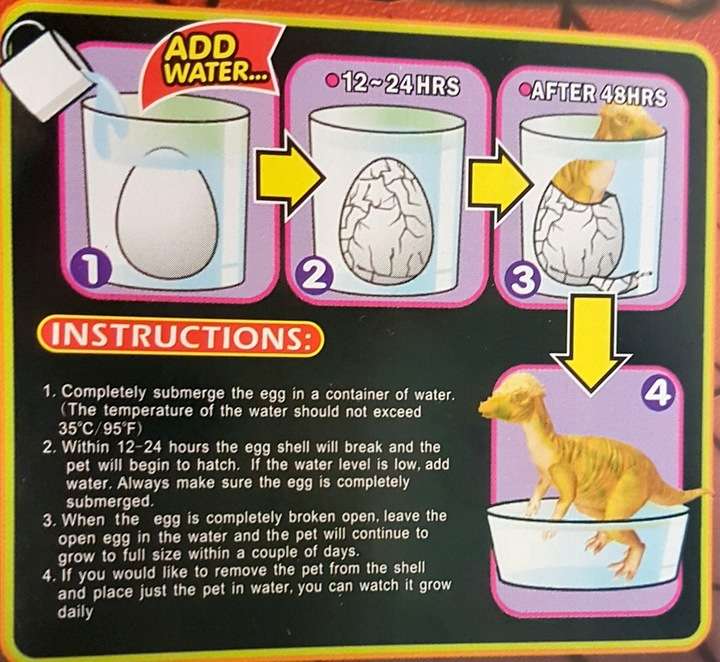 Dinosaur in an egg 11cm