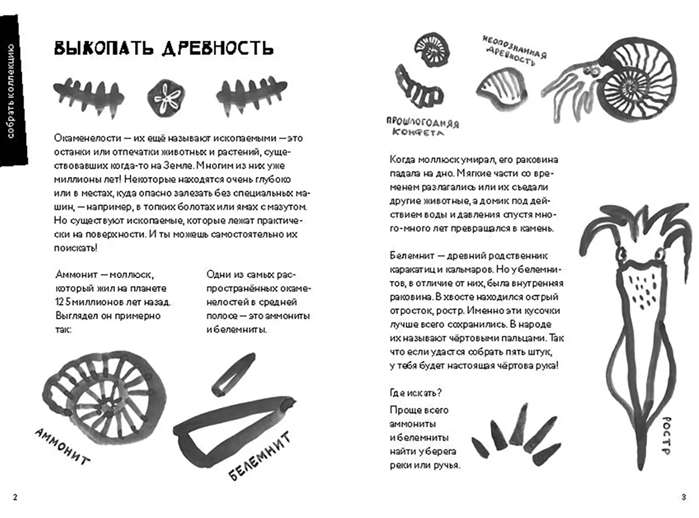 50 Educational Games in Nature