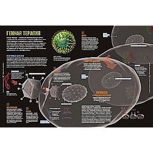 The Secrets of the Human Body. Large Illustrated Encyclopedia