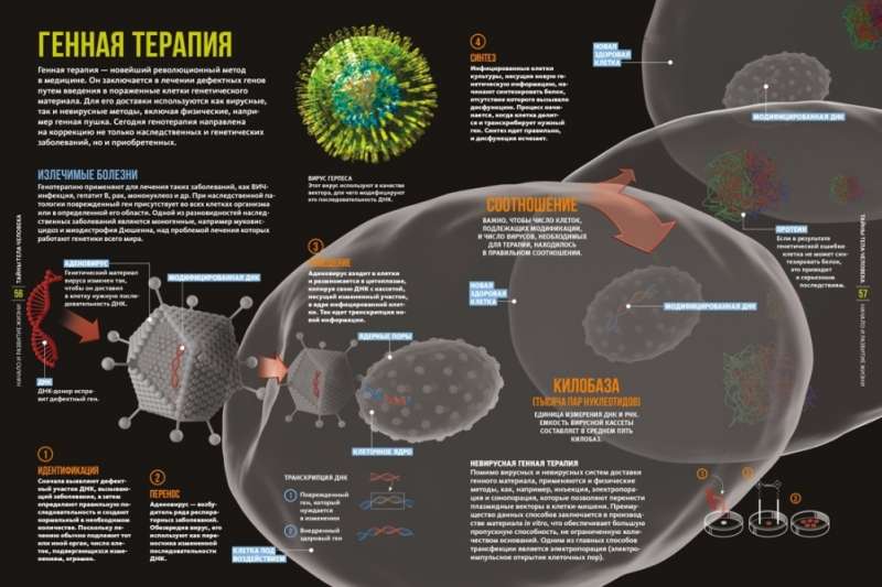 The Secrets of the Human Body. Large Illustrated Encyclopedia