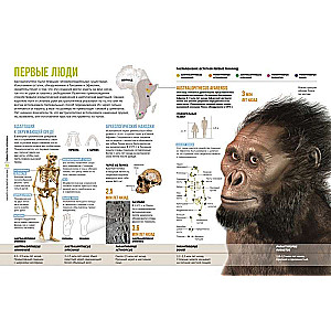 The Secrets of the Human Body. Large Illustrated Encyclopedia