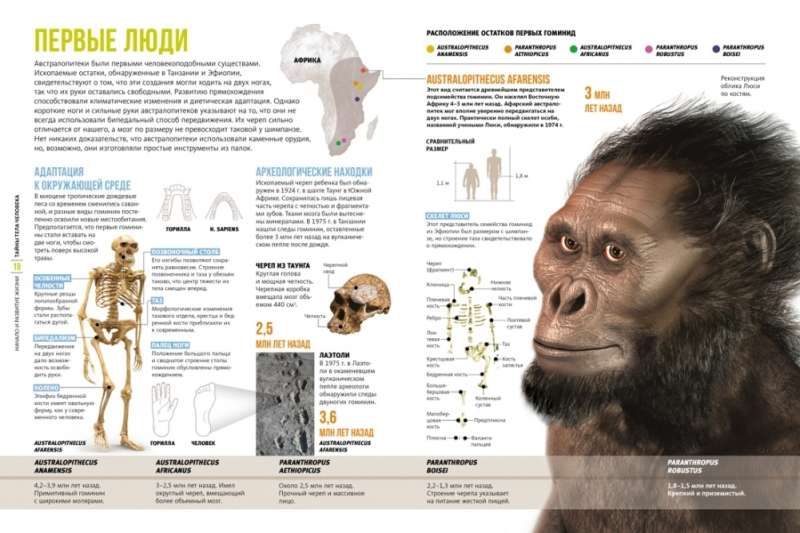 The Secrets of the Human Body. Large Illustrated Encyclopedia