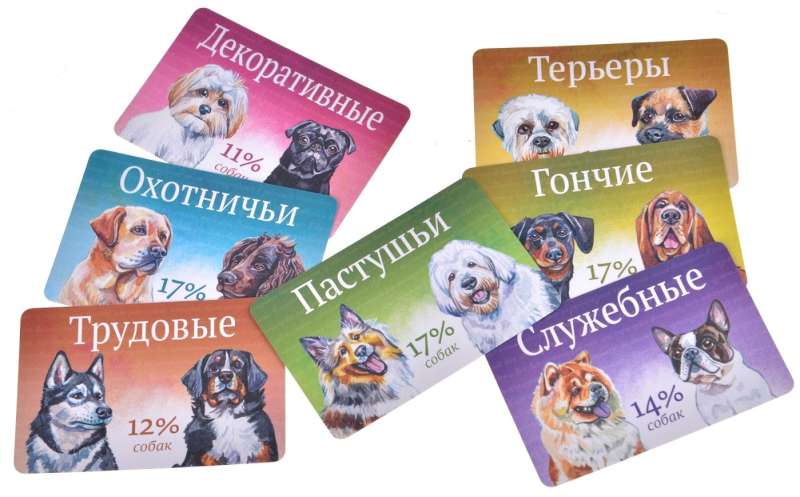 Board Game - Walks with Dogs