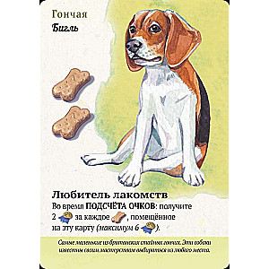 Board Game - Walks with Dogs
