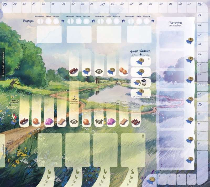 Board Game - Walks with Dogs