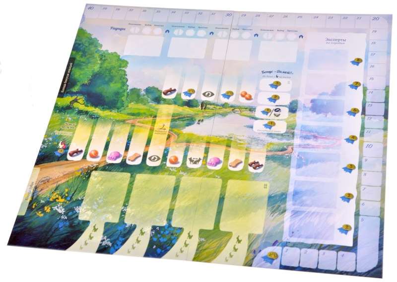 Board Game - Walks with Dogs