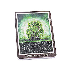 Metaphorical Cards for Self-Development. Searching for Inner Strength Manual Book + Cards