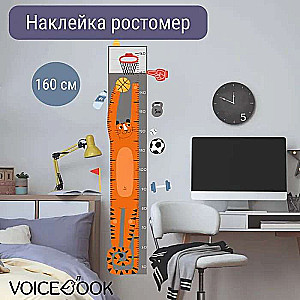 Growth Chart Basketball