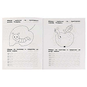 Copybooks. Writing sticks and hooks. 5-6 years. Workbook