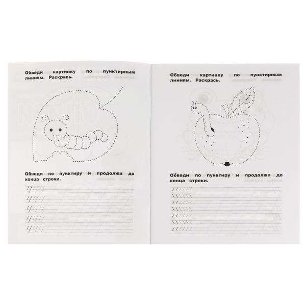 Copybooks. Writing sticks and hooks. 5-6 years. Workbook