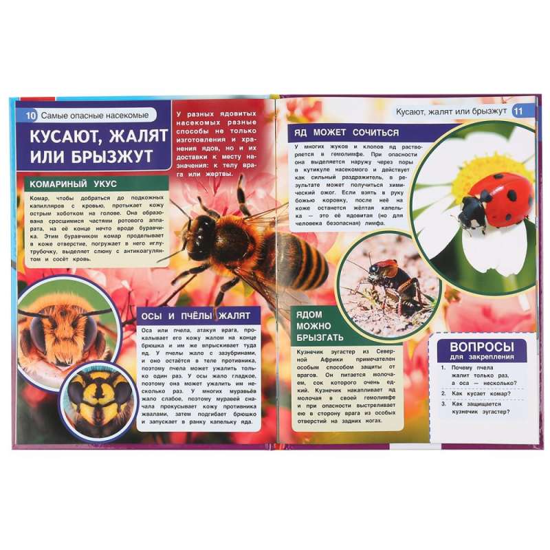 The Most Dangerous Insects. Encyclopedia with Developmental Tasks