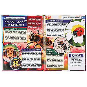 The Most Dangerous Insects. Encyclopedia with Developmental Tasks