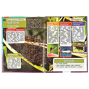 The Most Dangerous Insects. Encyclopedia with Developmental Tasks
