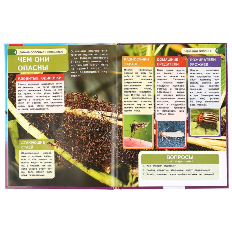 The Most Dangerous Insects. Encyclopedia with Developmental Tasks