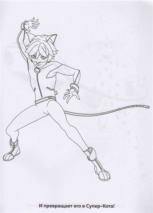 Lady Bug and Super Cat. Coloring Book