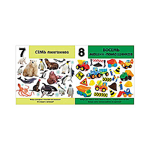 Photo Book. Numbers. Counting from 1 to 20