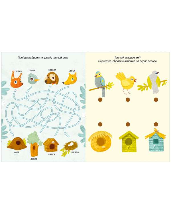 The Fun Book of Games and Tasks. Seasons