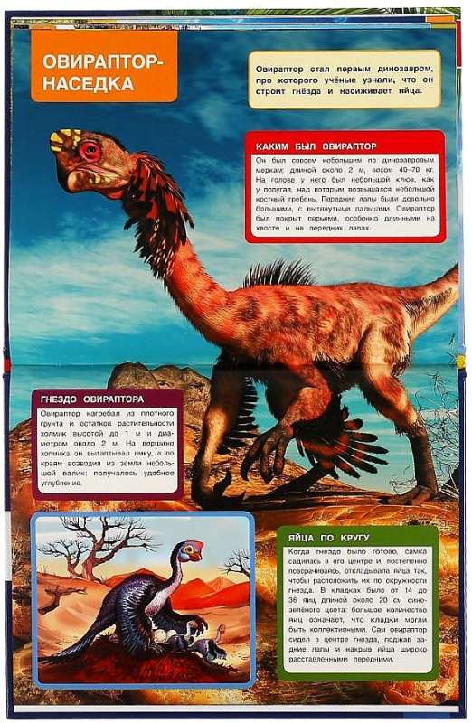 Dinosaurs. Moms and Babies. A4 Encyclopedia with Developmental Tasks