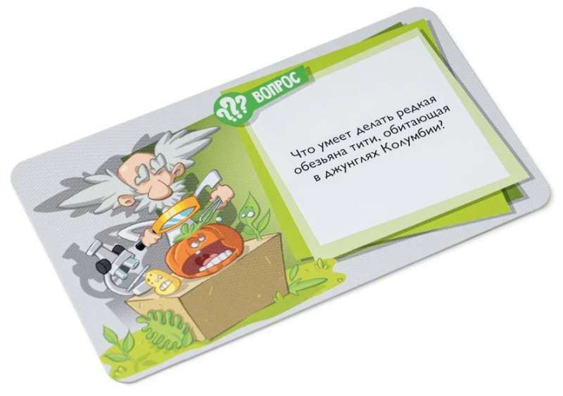Board Game - It's a Fake!
