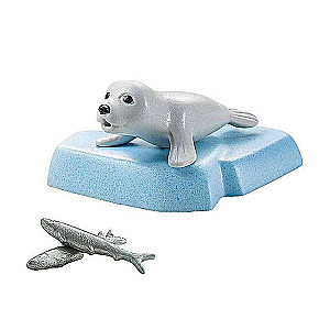Wonderful Planet - Little Seal