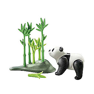 Wonderful Planet - Panda