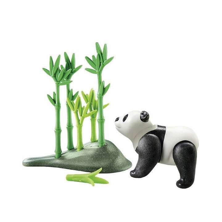 Wonderful Planet - Panda