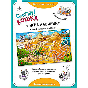 Look! Cat. Book with Windows