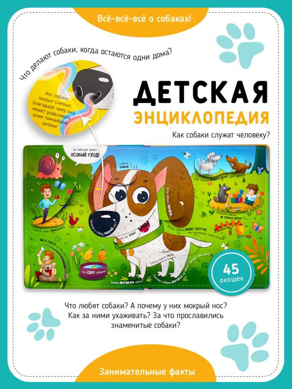 Look! Dog. A Book with Flaps