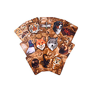 Metaphorical Cards My Totem Animal Cards + Brochure