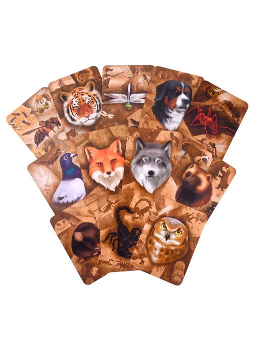 Metaphorical Cards My Totem Animal Cards + Brochure