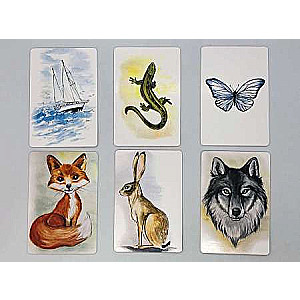 Metaphorical cards World of My Possibilities cards + brochure