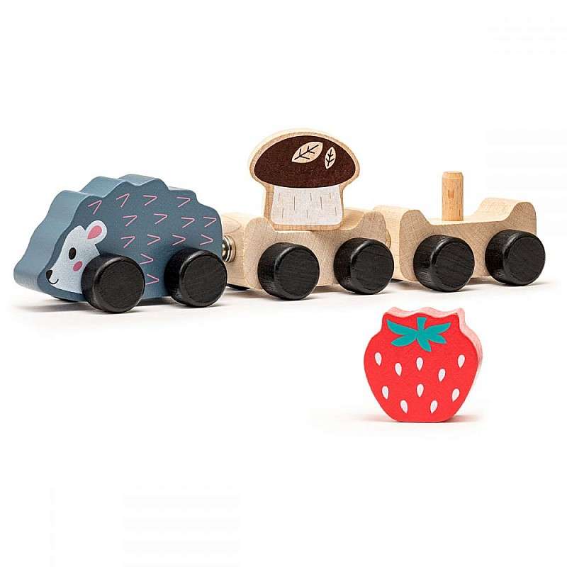 Wooden Train - Hedgehog