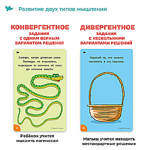Board Game - Mind Games for the Brain. Educational Cards