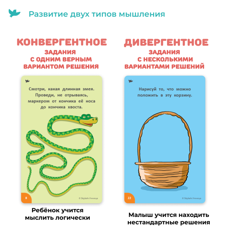 Board Game - Mind Games for the Brain. Educational Cards