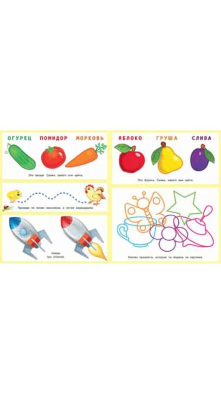 First Tasks for Toddlers №1