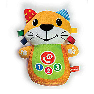 Baby's Phone. Kitten