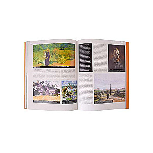 Van Gogh: Favorite Paintings Case
