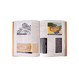 Van Gogh: Favorite Paintings Case
