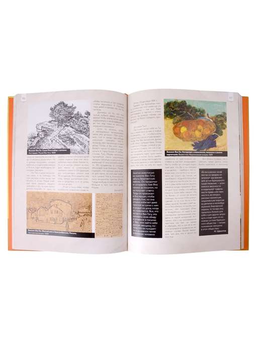Van Gogh: Favorite Paintings Case