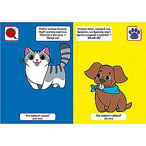 Rhymes of the Chatterbox. What Am I Saying? 60 Stickers