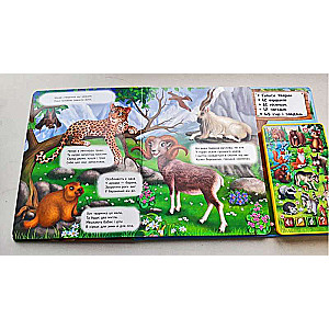 Book with a Tablet. Favorite Animals