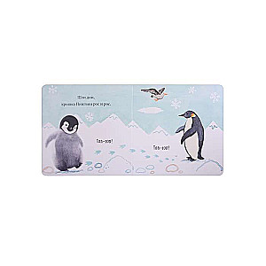 Baby Penguin