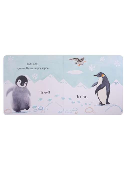 Baby Penguin