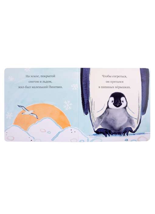 Baby Penguin